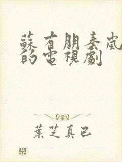 苏有朋秦岚主演的电视剧