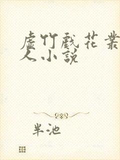 虚竹戏花丛虞美人小说封面