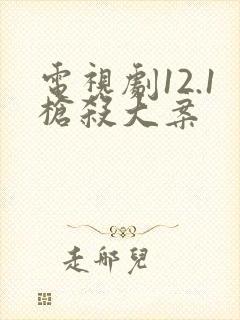 电视剧12.1枪杀大案