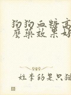 狗狗血糖高吃什么药效果好封面