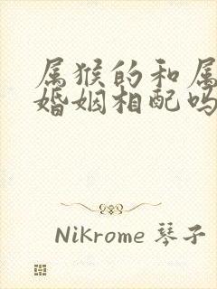 属猴的和属鸡的婚姻相配吗