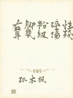 右脚粉碎性骨折算几级伤残