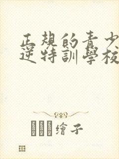 正规的青少年叛逆特训学校