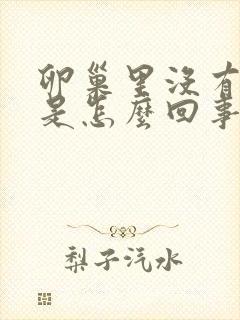 卵巢里没有卵泡是怎么回事