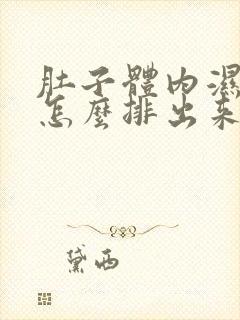 肚子体内湿气重怎么排出来封面