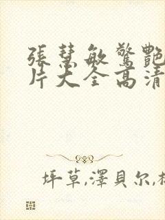 张慧敏惊艳的照片大全高清封面