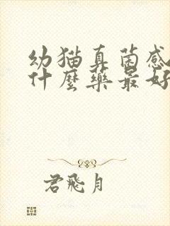 幼猫真菌感染用什么药最好