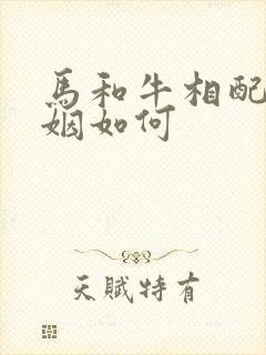 马和牛相配吗婚姻如何
