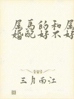 属马的和属兔的婚配好不好封面