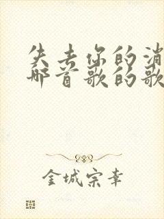 失去你的消息是哪首歌的歌词