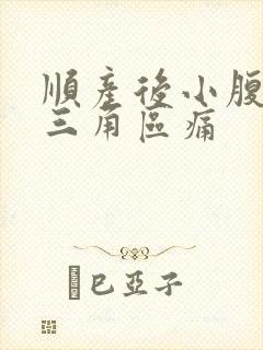 顺产后小腹下面三角区痛封面