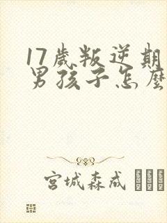 17岁叛逆期的男孩子怎么去引导