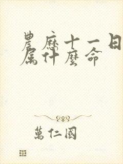 农历十一日出生属什么命