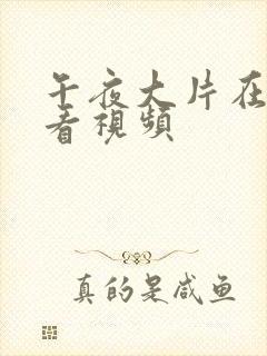 午夜大片在线观看视频封面