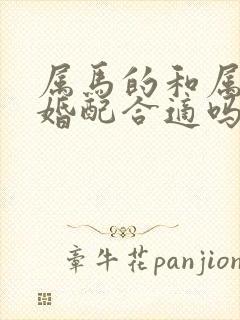 属马的和属狗的婚配合适吗