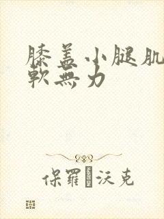 膝盖小腿肌肉酸软无力封面