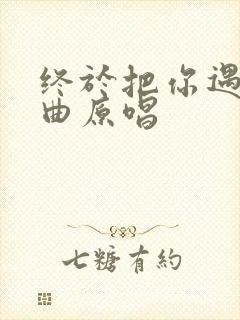 终于把你遇见歌曲原唱封面