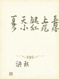 夏天腿上长了很多小红疙瘩