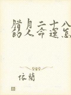 腊月二十八出生的人命运怎么样