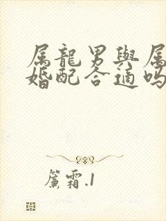 属龙男与属牛女婚配合适吗