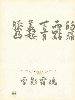 膝盖下面的骨头凸起有点痛封面