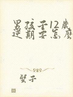 男孩子12岁叛逆期要怎么管教封面