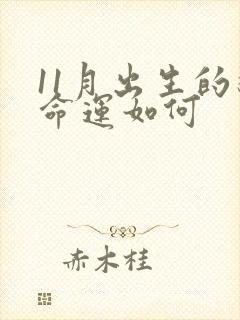 11月出生的狗命运如何封面