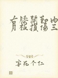 右膝关节内侧半月板损伤三级