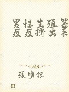 男性生殖器出现痘痘挤出来白色的东西封面