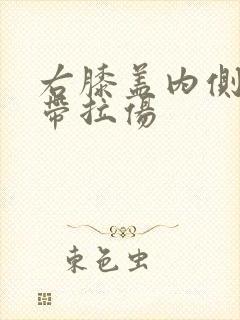 右膝盖内侧副韧带拉伤