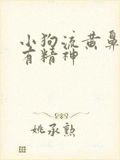 小狗流黄鼻涕没有精神