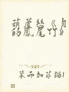 葫芦丝《月光下的凤尾竹》c调伴奏