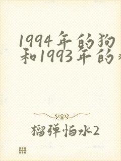 1994年的狗和1993年的鸡相配吗