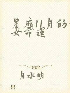 农历11月的猴女命运封面