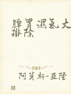 脾胃湿气大怎样排除