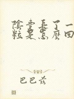 阴囊长了一个肉粒是怎么回事封面