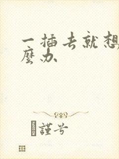 一插去就想射怎么办封面