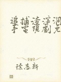 追捕渣滓洞刽子手电视剧免费观看全集完整版封面