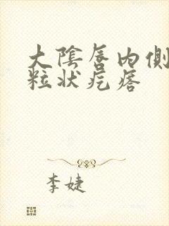 大阴唇内侧长米粒状疙瘩