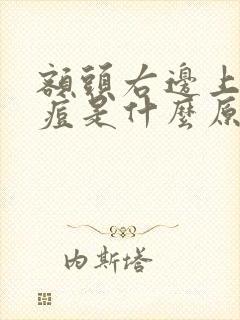 额头右边上长痘痘是什么原因