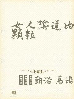 女人阴道内长肉颗粒