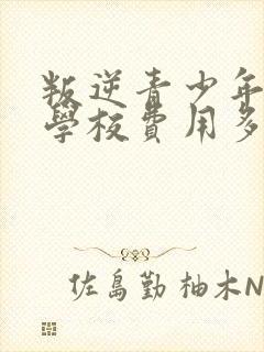 叛逆青少年教育学校费用多少钱