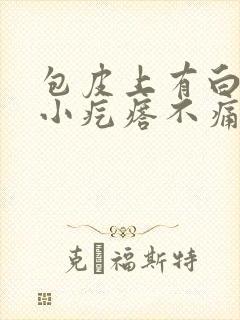 包皮上有白色的小疙瘩不痛不痒封面