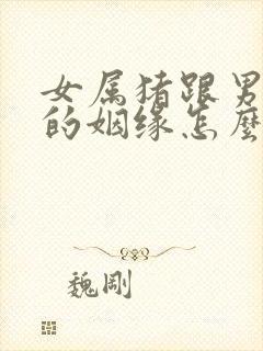 女属猪跟男属猴的姻缘怎么样