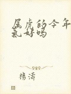 属虎的今年的运气好吗