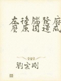 左后脑发麻是什么原因造成的