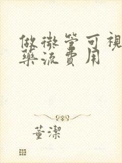 做微管可视无痛药流费用