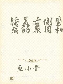 膝盖右侧弯曲疼痛的原因和治疗方法封面