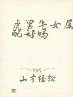 虎男牛女属相婚配好吗