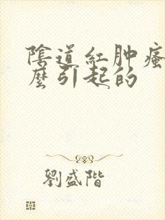 阴道红肿瘙痒怎么引起的